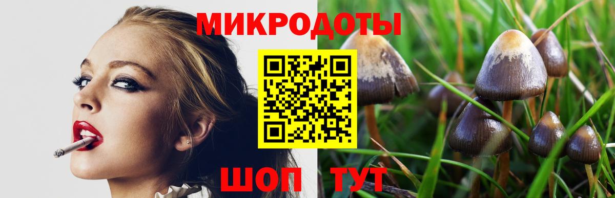 Галлюциногенные грибы мицелий  Вход с VPN  Фролово  Псилоцибиновые грибы Psilocybe 